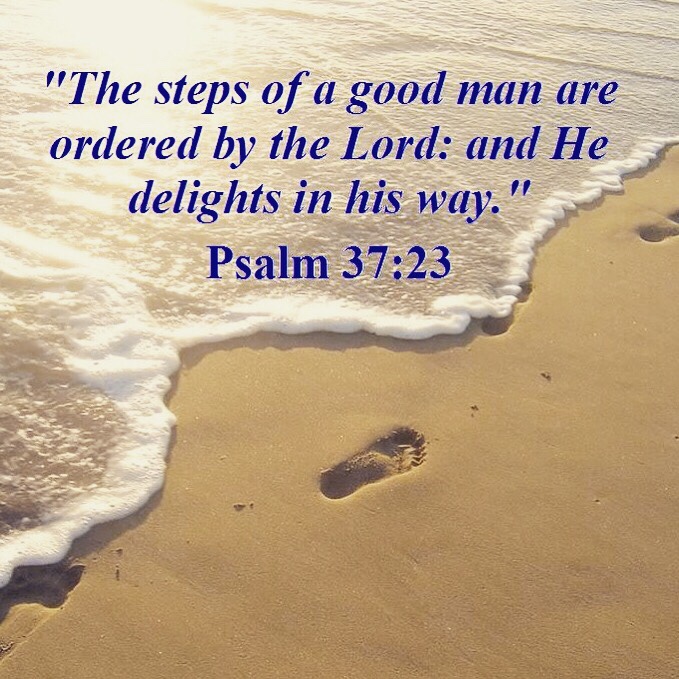 Your Steps Can Be Ordered – Lisa Great